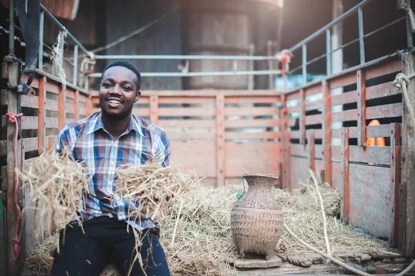 Afrikaanse Man Die Stro Vasthoudt Met Een Tracktor Het Platteland — Stockfoto