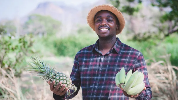 Homem Agricultor Africano Segurando Abacaxi Banana Fazenda Orgânica Com Sorriso — Fotografia de Stock