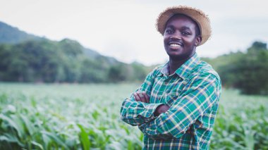 Mısır tarlasında şapka standı olan Afrikalı çiftçi. Tarım ya da tarım kavramı.
