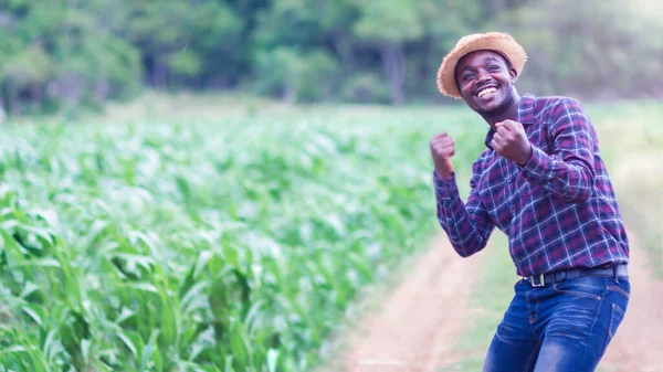 Успішний Африканський Фермер Капелюхом Стоїть Полі Кукурудзи Концепція Вирощування Або — стокове фото