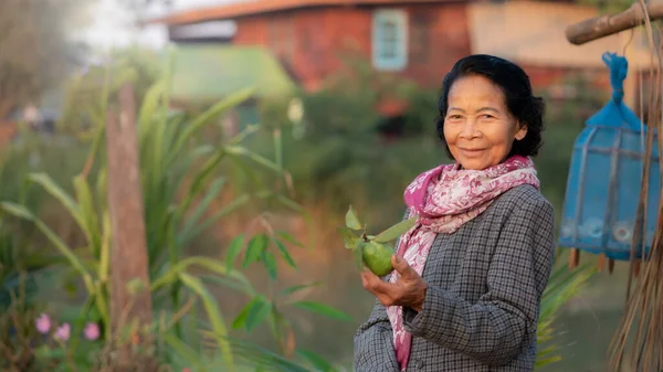 Щаслива Літня Азіатська Посмішка Органічною Фермою Задньому Плані Стиль Життя — стокове фото