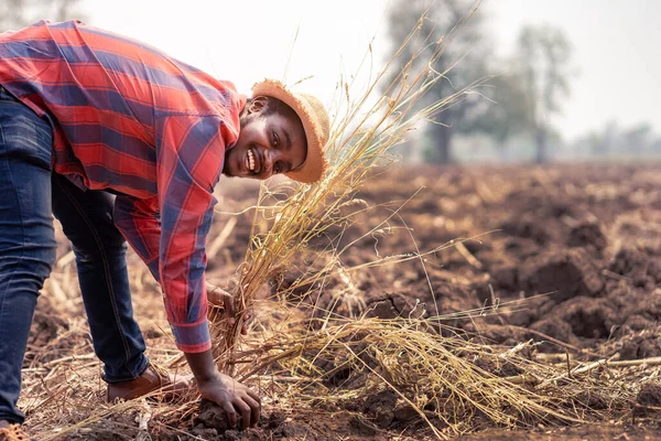 Agricultor Africano Verifica Prepara Solo Para Plantação Conceito Agricultura Cultivo — Fotografia de Stock