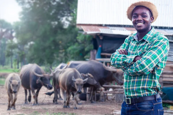 Agriculteur Africain Avec Chapeau Stand Dans Ferme Buffle Eau Agriculture — Photo