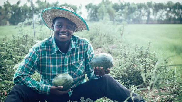 Agriculteur Africain Est Heureux Travailler Sur Ferme Agriculture Concept Culture — Photo