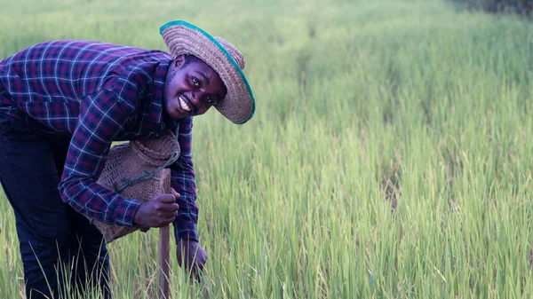 African Farmer Happily Working His Farm Holding Agricultural Tools Agriculture — Stock Photo, Image