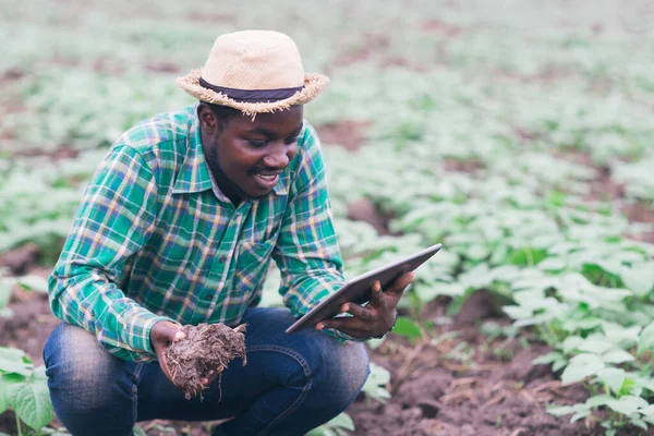 African Farmer Using Tablet Research Soil Organic Farm Agriculture Cultivation — Stock Photo, Image