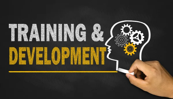 प्रशिक्षण और विकास — स्टॉक फ़ोटो, इमेज