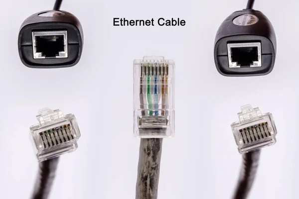 Connecteur Mâle Femelle Ethernet Cable Connecteur Ethernet Pour Internet Isolé — Photo