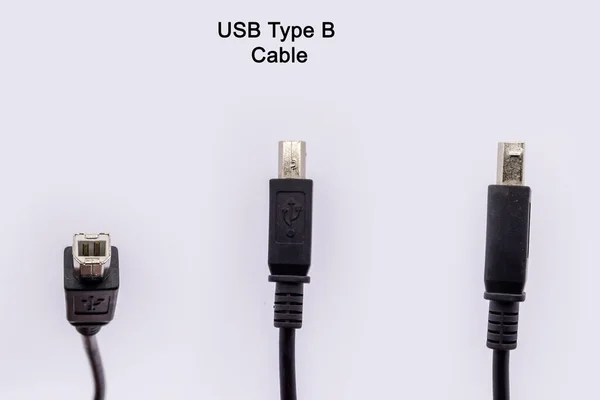 USB Cable Type B Male SuperSpeed USB Adapter Connector Wire Plug for Printer, Scanner, - Black. Isolated on white background