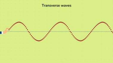 Enine Dalgalar, Enine Dalgalar 'ın 2D animasyon videosu. Transverse Waves 'in 4K animasyon videosu.