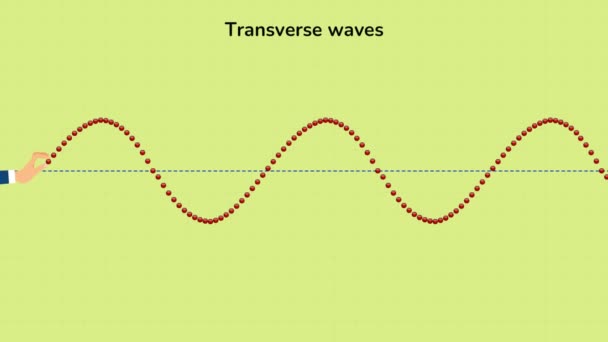 Příčné vlny, 2D animační video z Transverse Waves. Animované 4K video příčných vln. — Stock video