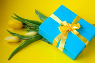 Mavi kulübe, sarı arka planda şenlikli bir kurdele ve lalelerle bağlı.