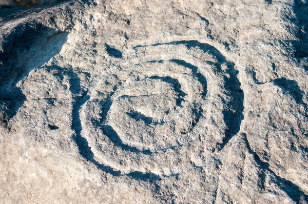 Sikachi-Allian köyünün aşağısındaki Amur Nehri 'nin kıyısındaki bir petroglyph spiralinin (salyangoz) resmi.