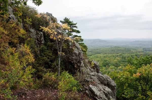 秋の風景 森を背景にした岩 — ストック写真