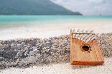 Kalimba veya mbira bir Afrika müzik enstrümanıdır. Kalimba tahtadan yapılmış. Metalden yapılmış. Elleriyle oynuyor ve parmaklarıyla dişleri koparıyor. Geleneği Zimbabwe müzik enstrümanı. 