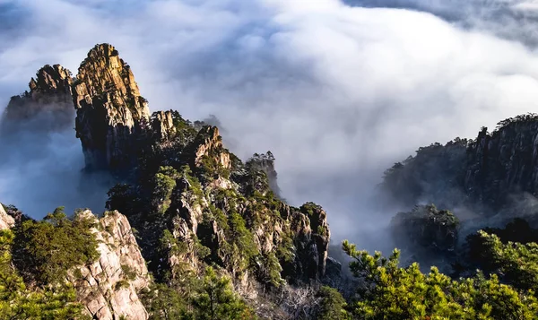 Huangshan Ulusal Parkı Nın Dağ Tepelerindeki Bulut Çam Ağacı Manzarası — Stok fotoğraf