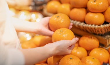 Portakal suyunu çevirmek için taze pazarda meyve ve sebze için meyve tutan iki el..