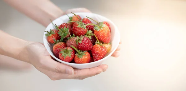 Female Hand Holding White Bowl Fresh Stawberry Group Stawberry Preparing — Stock Photo, Image
