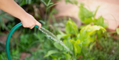 Boş zaman aktivitesi için bahçe hortumundan su fışkırtır ve bahçedeki ağaçla ilgilenir..
