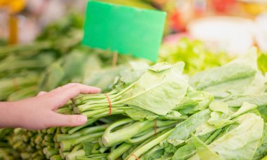 Kadın eli taze sebzeyi yerel markette pişirmek için seçiyor..
