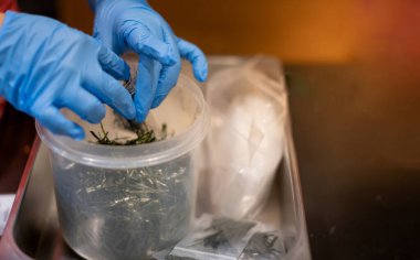 Kadın el şefi yemek kutusuyla birlikte fermuarlı yosun hazırlıyor ve Covid19 salgını yüzünden yemeğe hazır..