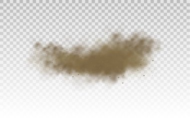 Uçan kum, kahverengi toz bulutu, rüzgar, kum fırtınası.