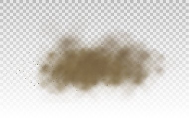 Uçan kum, kahverengi toz bulutu, rüzgar, kum fırtınası.