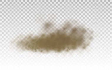 Uçan kum, kahverengi toz bulutu, rüzgar, kum fırtınası.