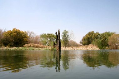 Kıyıya yakın sakin bir gölde kırık bir ağaç duruyor.