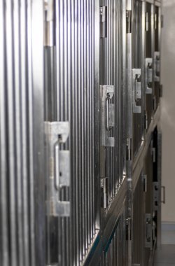 A rack of veterinary cages in a veterinary clinic