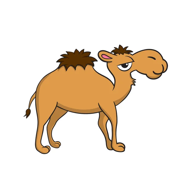 Ilustración aislada de un camello — Vector de stock