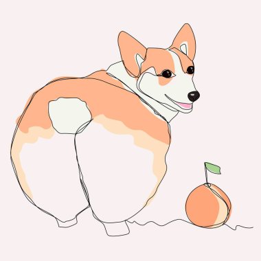 Corgi stands with his back one line drawing. Corgi butt and peach. the colors in the picture are beige, peach, white and pink.