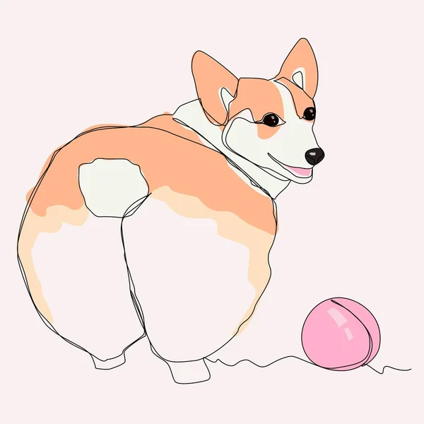 Corgi Stands His Back One Line Drawing Corgi Butt Ball — Vector de stock