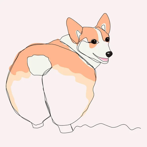 Corgi Stands His Back One Line Drawing Colors Picture Beige — Stock Vector