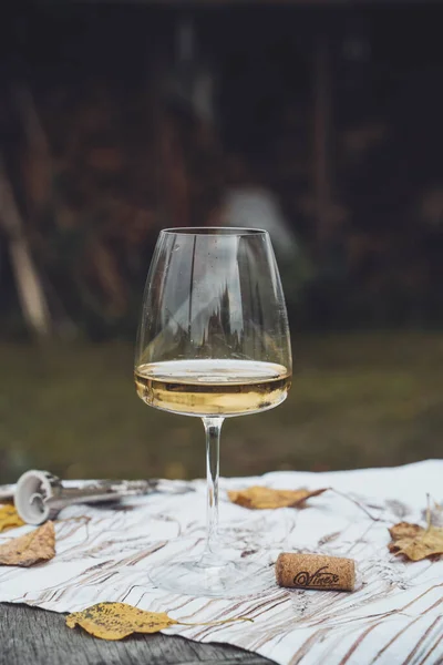 Осінній Пікнік Природі Білим Вином Тканинній Серветці Склянка Поруч Пробкою Стокове Фото