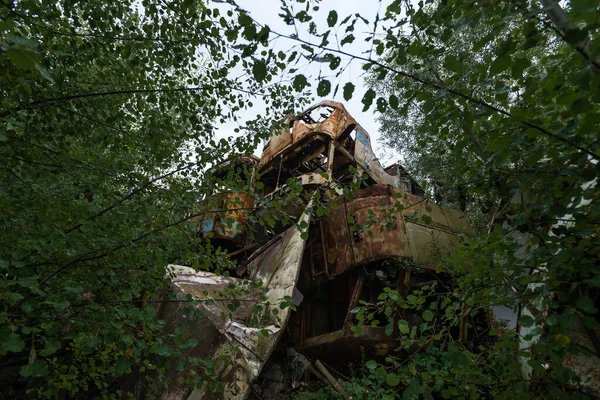 Viejos Autobuses Abandonados Rossokha Cementerio Vehículos Radiactivos Chernobyl Temporada Verano — Foto de Stock
