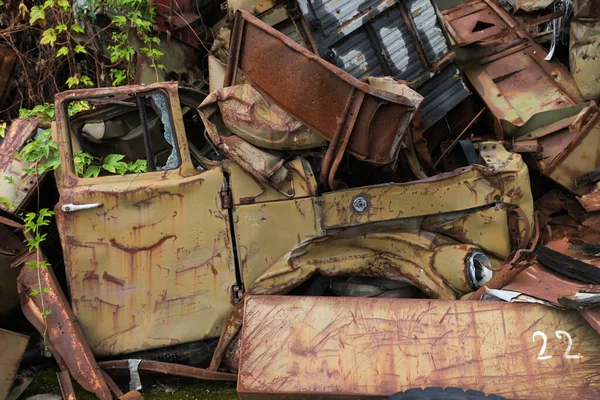 Dump Rusty Old Vehicles Rossokha Radioactive Vehicles Graveyard Chernobyl Summer — Stock Photo, Image