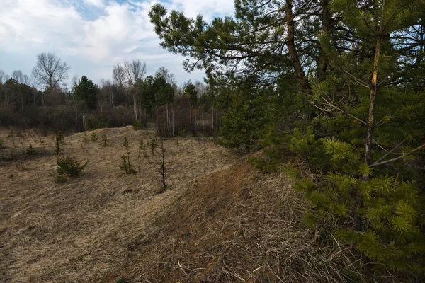 Opuštěná Obec Chistogalovka Postapokalyptická Krajina Jarní Sezóna Černobylské Výlučné Zóně — Stock fotografie