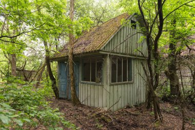 Terk edilmiş köy Rechitca 'da bir ev, kıyamet sonrası manzara, Çernobil' de yaz mevsimi yasaklama bölgesi, Ukrayna