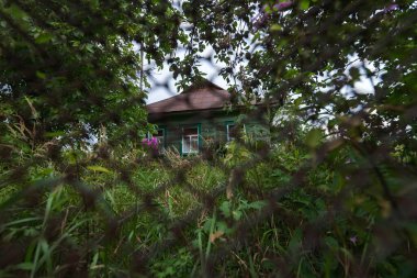 Terk edilmiş köy Opachichi 'de bir ev, kıyamet sonrası manzara, Çernobil' de yaz mevsimi yasaklama bölgesi, Ukrayna