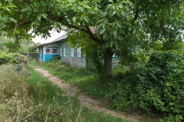 Terk edilmiş bir köy olan Opachichi 'de sokak, kıyamet sonrası manzara, Çernobil' de yaz mevsimi yasaklama bölgesi, Ukrayna