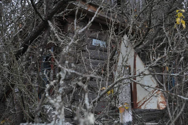 Дом Заброшенном Селе Новый Мир Постапокалиптический Пейзаж Осенний Сезон Чернобыльской — стоковое фото