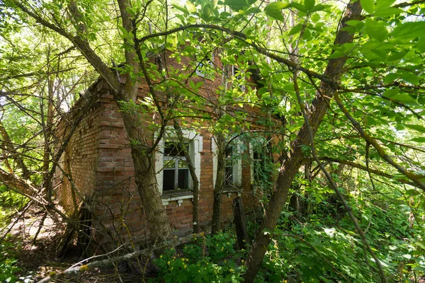Opuštěná Vesnice Martynovychi Postapokalyptická Krajina Letní Sezóna Černobylské Výlučné Zóně — Stock fotografie