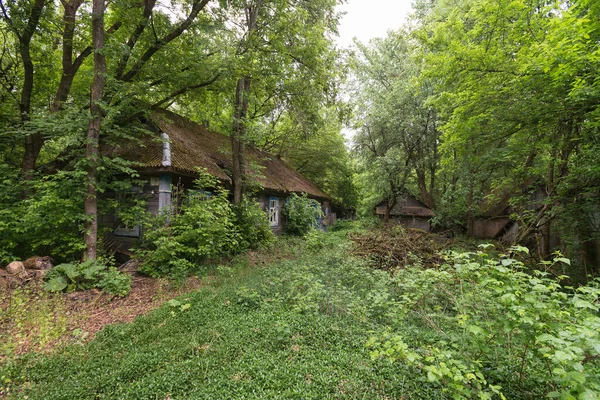 Pueblo Abandonado Rechitca Paisaje Post Apocalíptico Temporada Verano Zona Exclusión — Foto de Stock