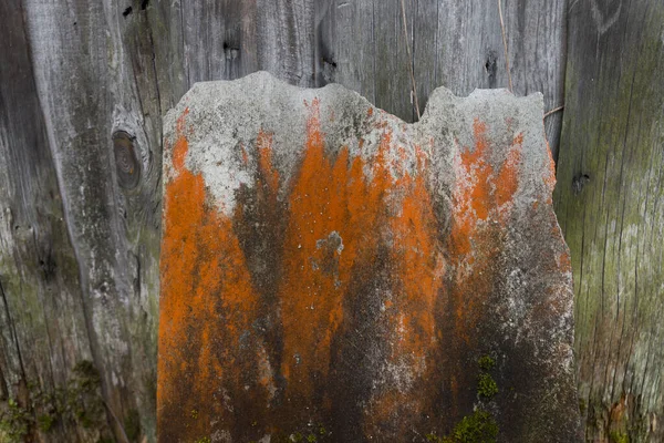 Old Dirty Slate Moss Old Dirty Damaged Surface Abstract Color — Stock Photo, Image