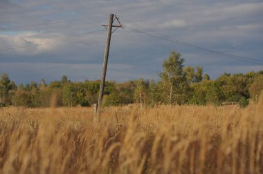 Terk edilmiş Korogod köyü yakınlarındaki kıyamet sonrası manzara, Çernobil 'de sonbahar mevsimi yasaklama bölgesi, Ukrayna