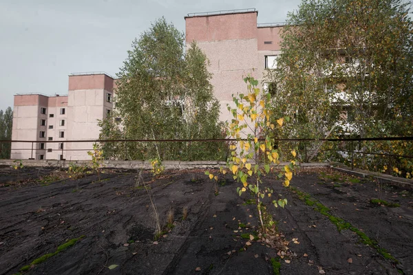 Huizen Spookstad Pripyat Uitzicht Vanaf Dak Post Apocalyptische Stad Herfstseizoen — Stockfoto