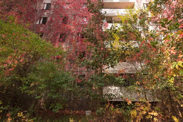 Maison Envahie Dans Une Ville Fantôme Abandonnée Pripyat Ville Post — Photo