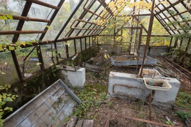 Çernobil bölgesinde terk edilmiş bir sera, Ukrayna 'nın hayalet kasabası Pripyat' ta sonbahar sonrası kıyamet sonrası iç mekanı.