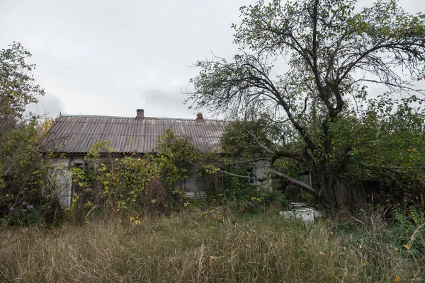 Дом Заброшенном Селе Ильичи Постапокалиптический Пейзаж Осень Чернобыльской Зоне Отчуждения — стоковое фото